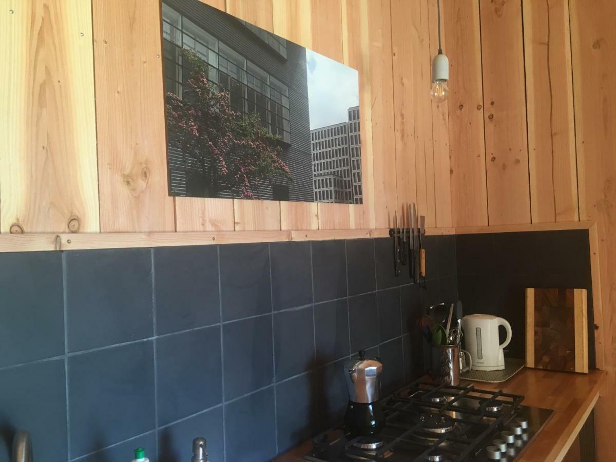 Les Foucauds Otel Saint-Quentin-de-Caplong Dış mekan fotoğraf